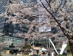 イベント画像